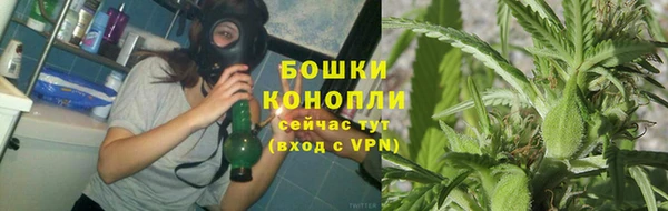 крисы Ростов