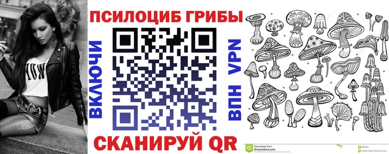 Псилоцибиновые грибы Psilocybine cubensis  Россошь 